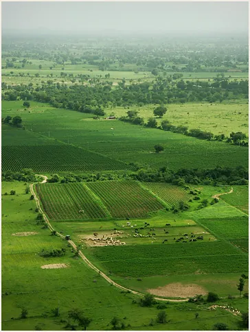 Vista a&eacute;rea de parcelas mostrando linderos de propiedad